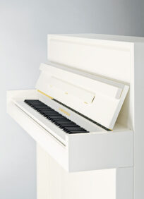 C.BECHSTEIN 116K MILLENIUM