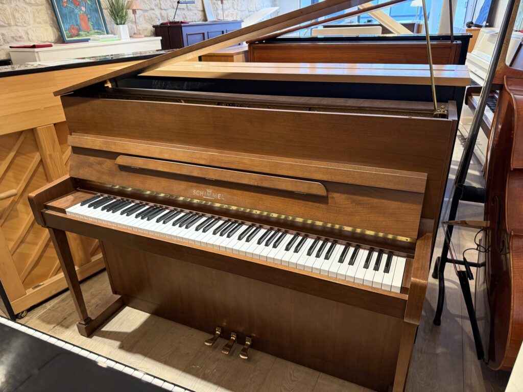 SCHIMMEL 112-10 T