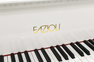 FAZIOLI F156