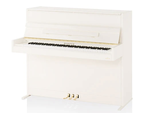 BECHSTEIN B112 VARIO (Silent original)