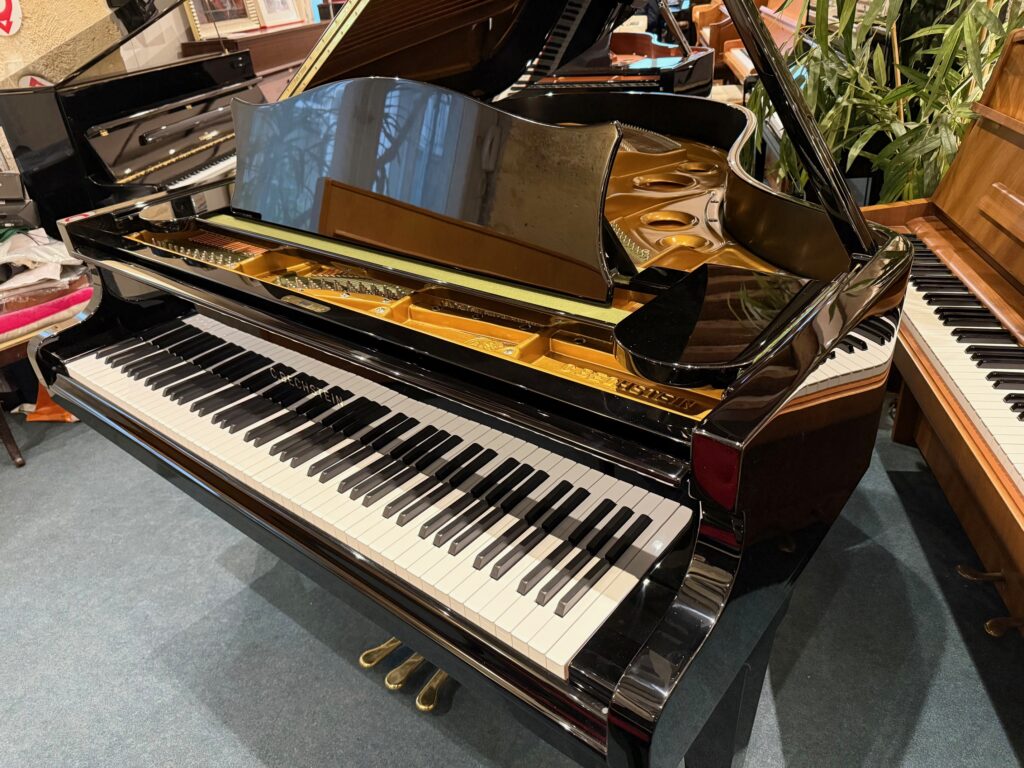 C.BECHSTEIN 1/4 de Queue M180